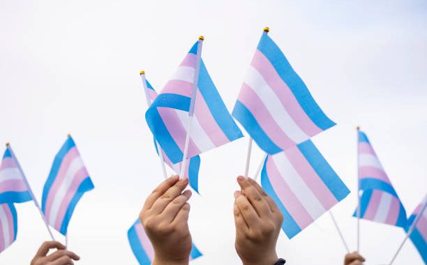 Transgender flags held by people at a demonstration