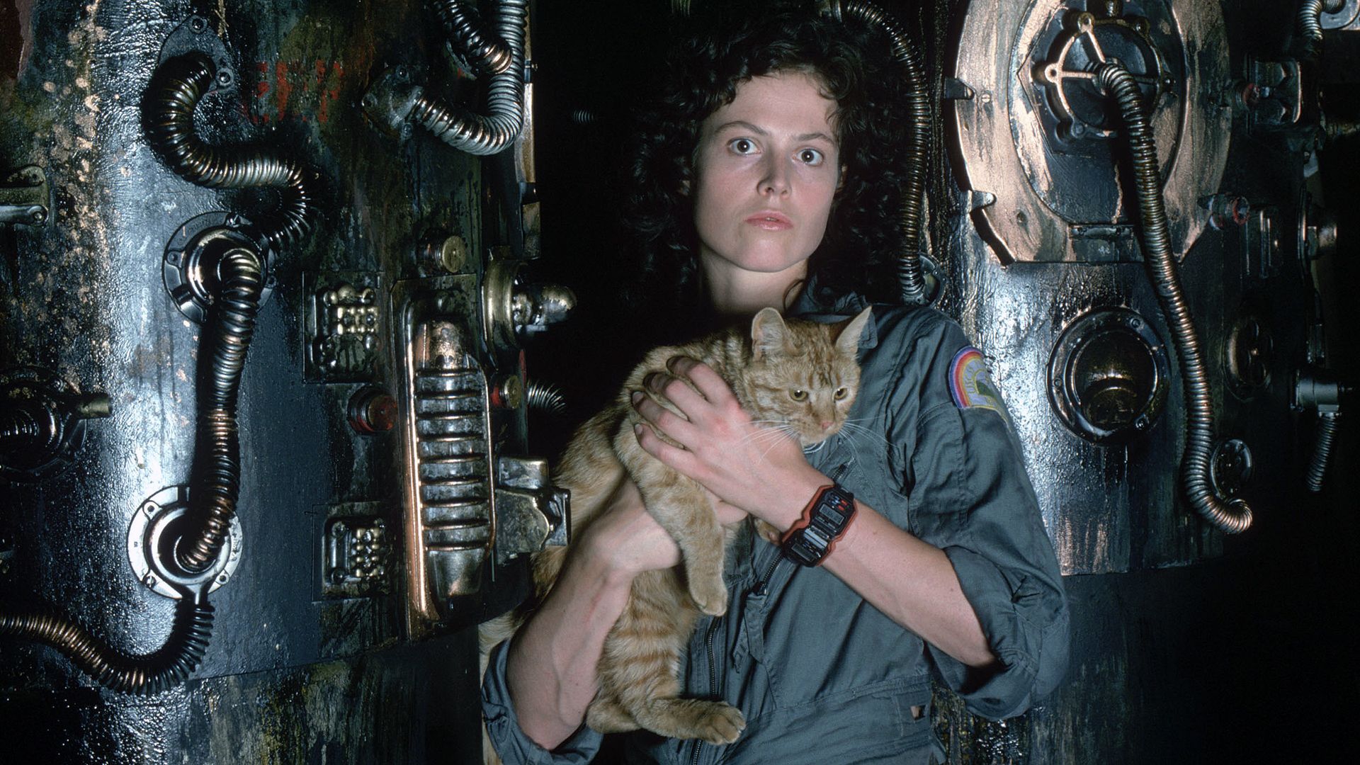 A female astronaut holds a cat in front of the inner workings of a spaceship.