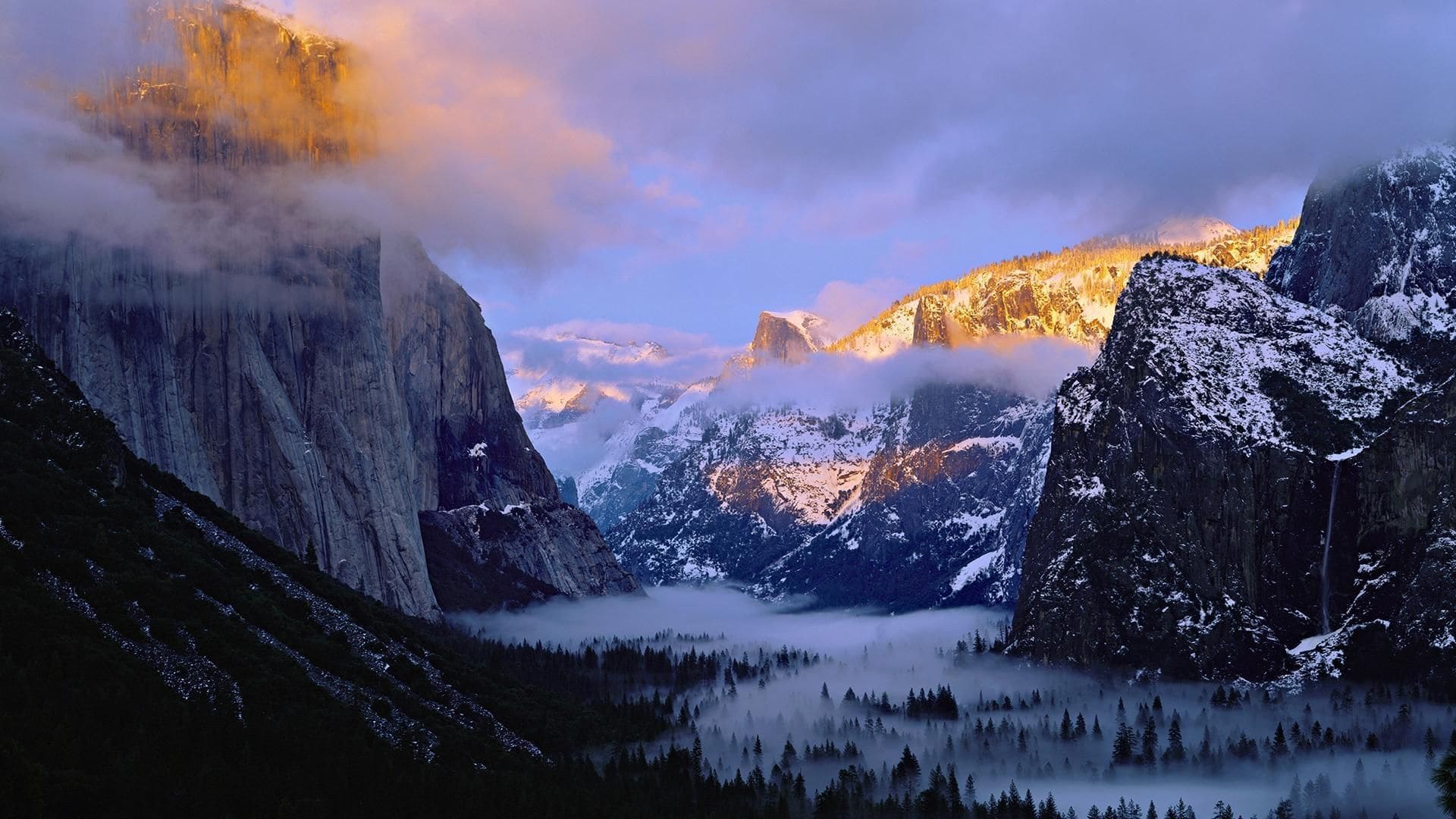 A snowy landscape pictured early in the morning, with fog covering a dense forest beneath it.
