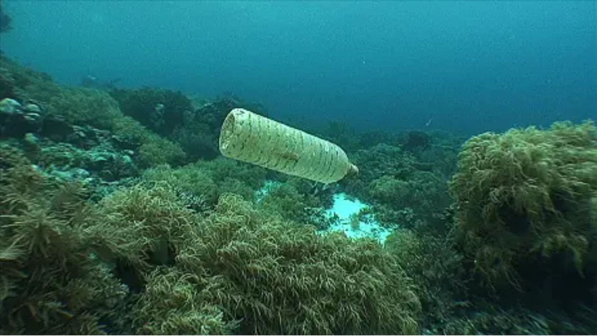 A plastic bottle floats to the bottom of the ocean floor.