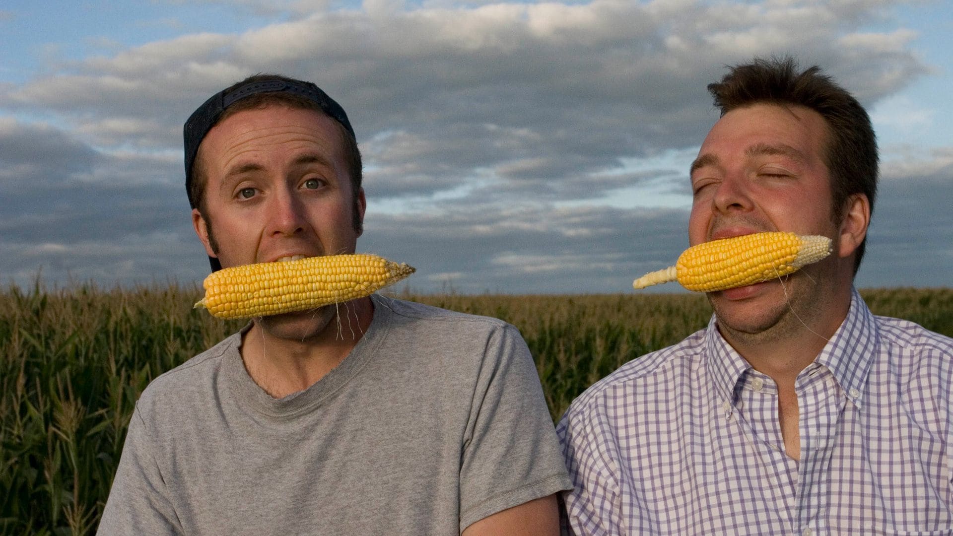 Two men bite corn on the cob while sitting in a field of corn.