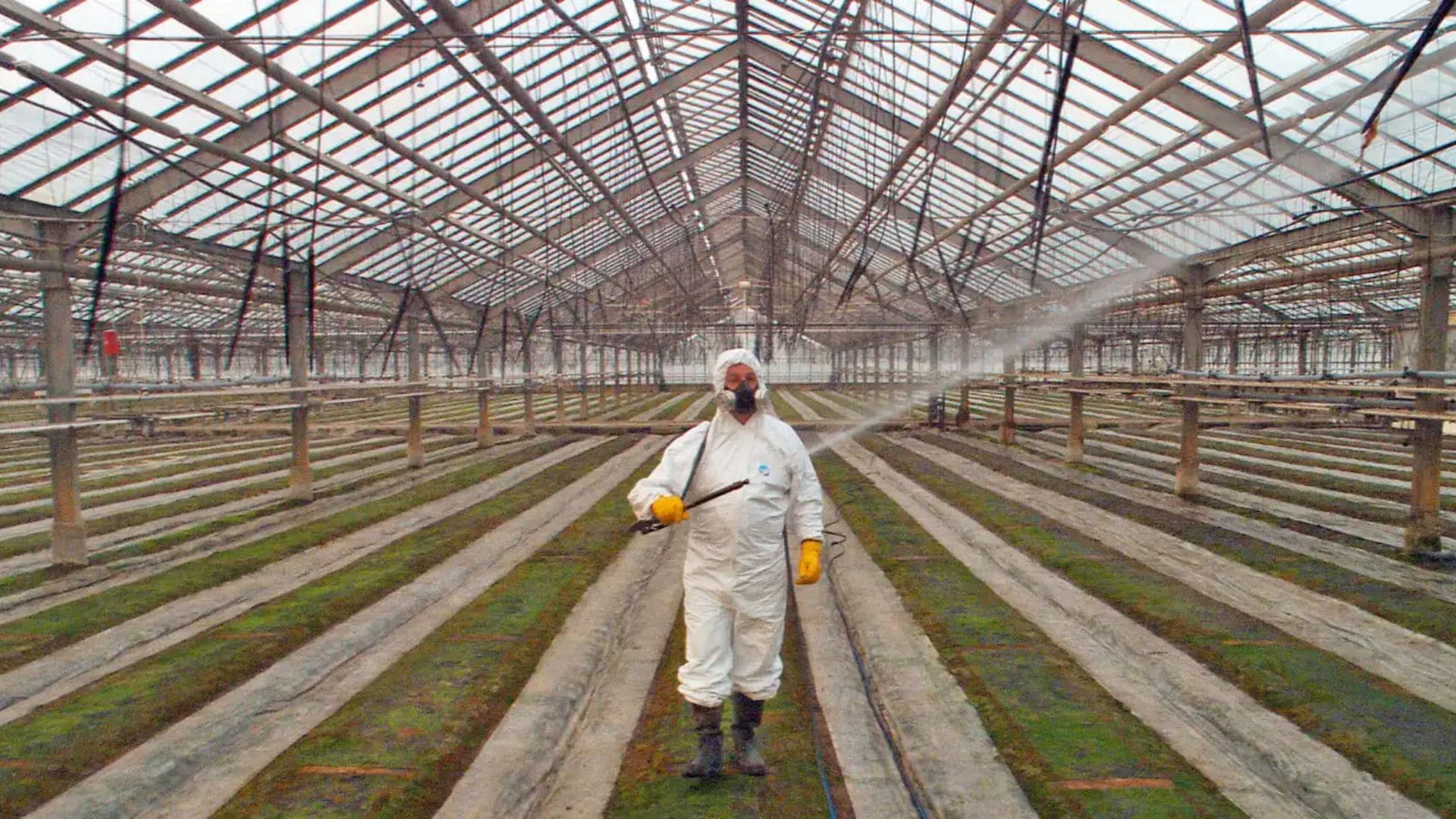 A figure holds a hose, spraying an enclosed agricultural space.